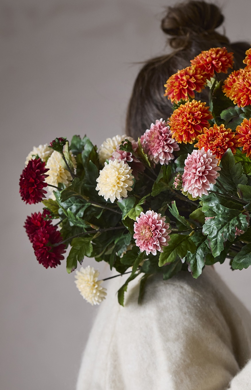 Zinnia - Cream - 45 cm