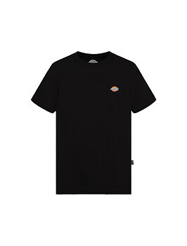 Dickies Mapleton t-shirt barn 