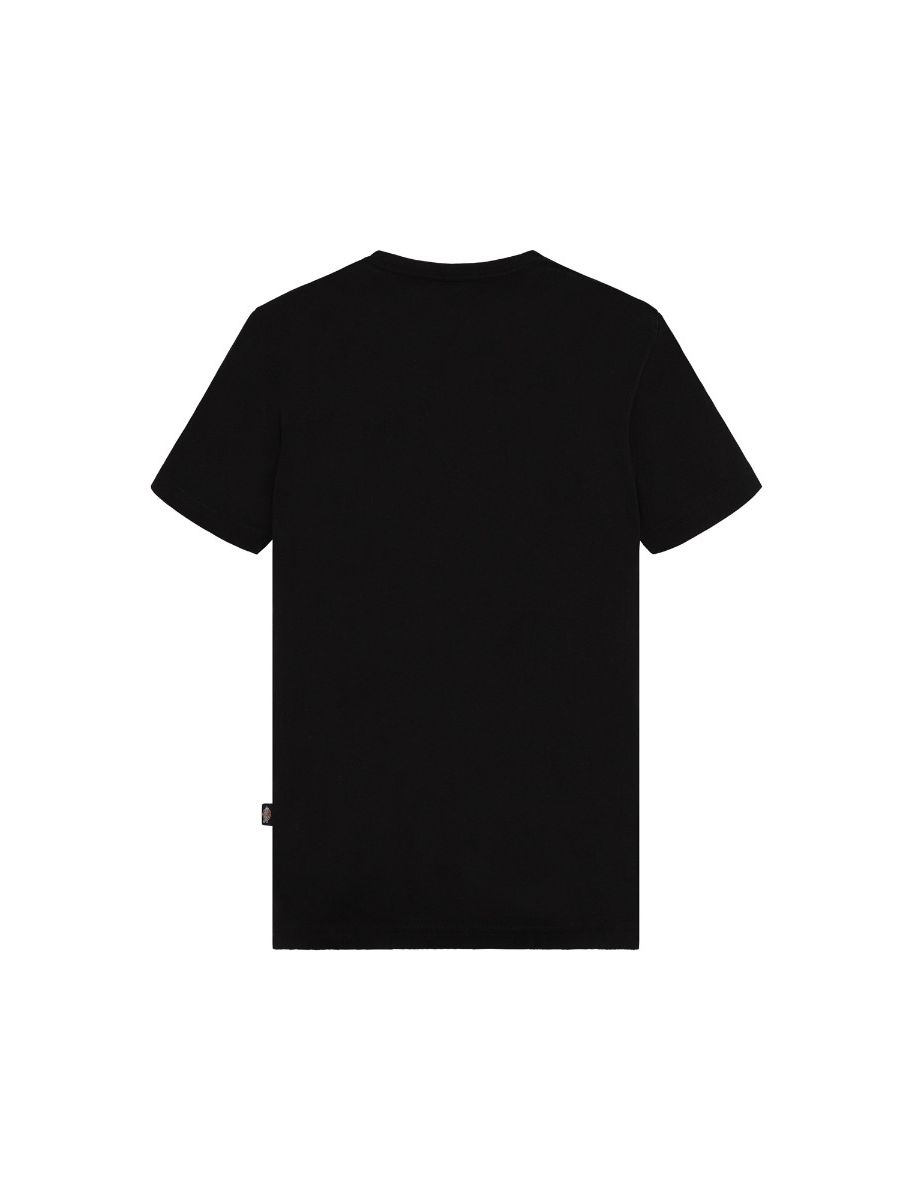 Dickies Mapleton t-shirt barn  - 4