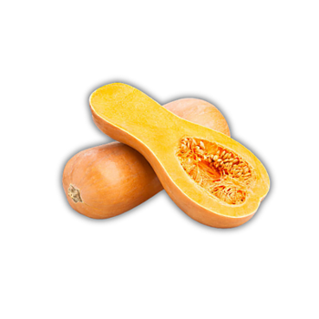 Pumpa Butternut (kg)