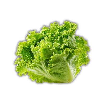 Sallad Crisp (Styck)