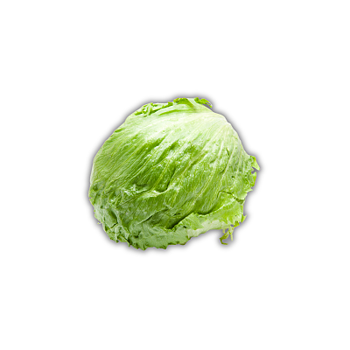 Sallad Isberg (Sverige) (kg)