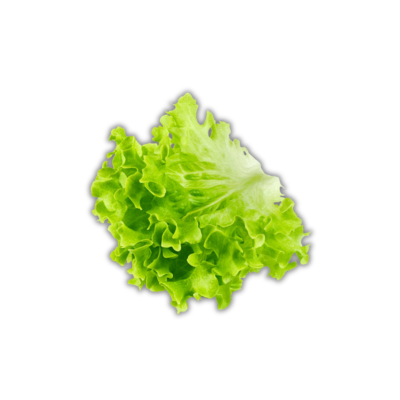 Sallad Lollo (Holland) (Styck)