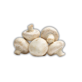 Svamp Champinjoner (Polen) (frp 3kg)