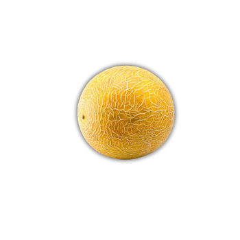 Melon Galia (Spanien) (kg)