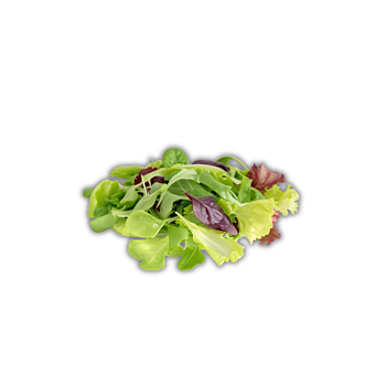 Mixsallad Säsong (frp 6kg)