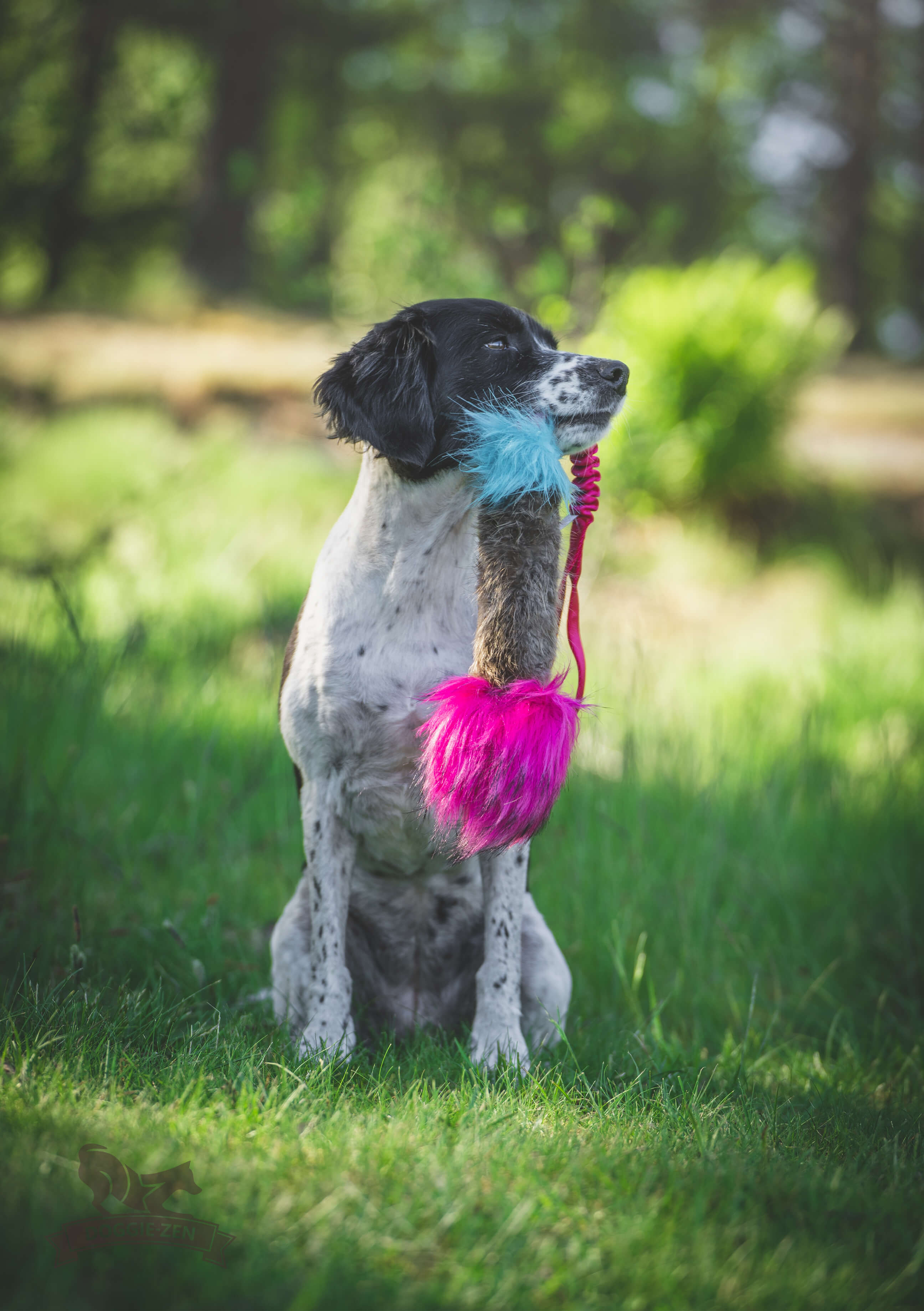 Bungee Beaver Squeaker Tug L - 7