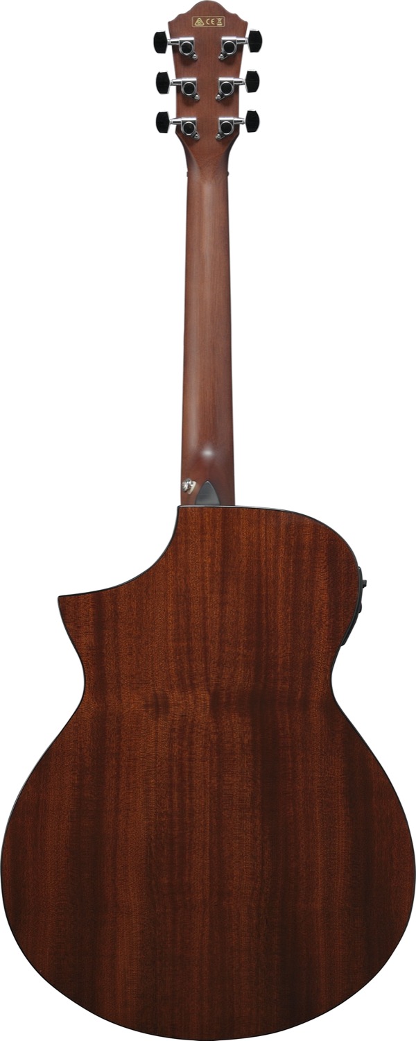 Ibanez AEWC11-DVS - 4