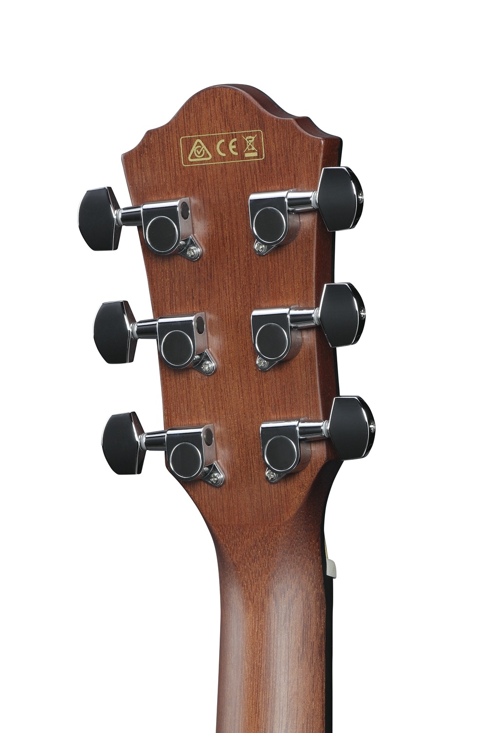Ibanez AEWC11-DVS - 6