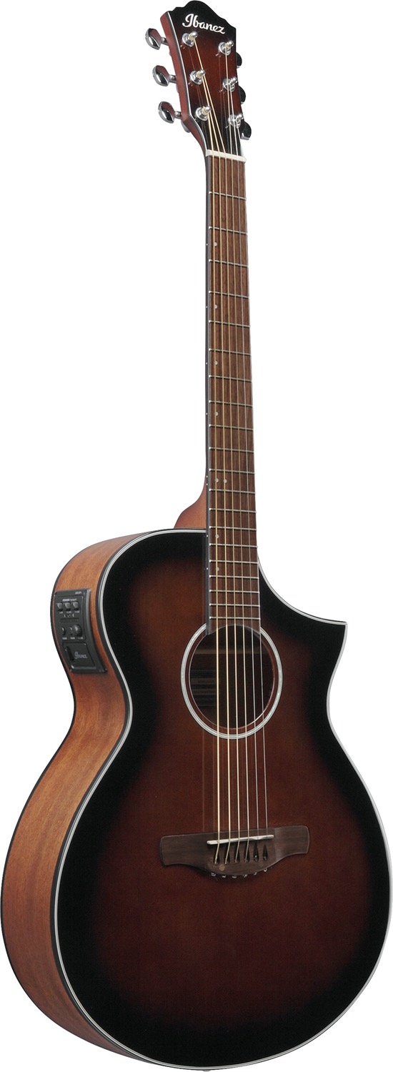 Ibanez AEWC11-DVS - 3