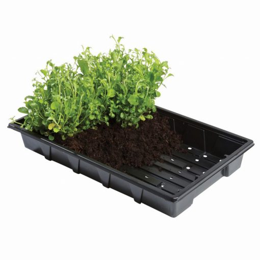 Såbricka - 5-pack