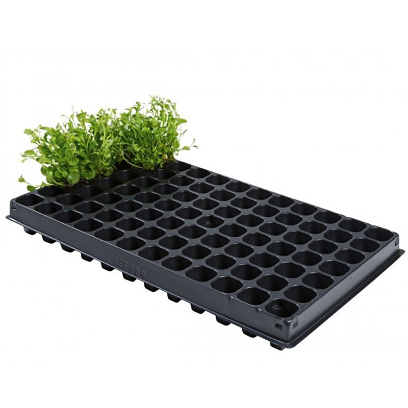 Pluggbrätte 84 celler - 2-pack