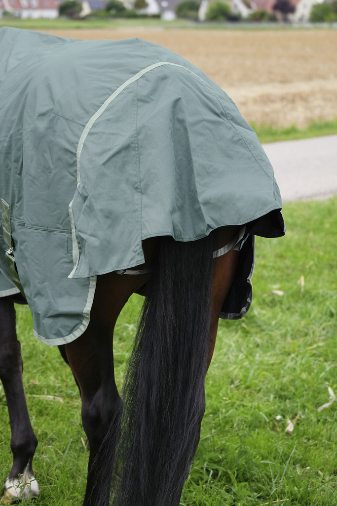 EQUITHEME 'TYREX 600D' Recycled Turnout Rug Green 0 g - 5