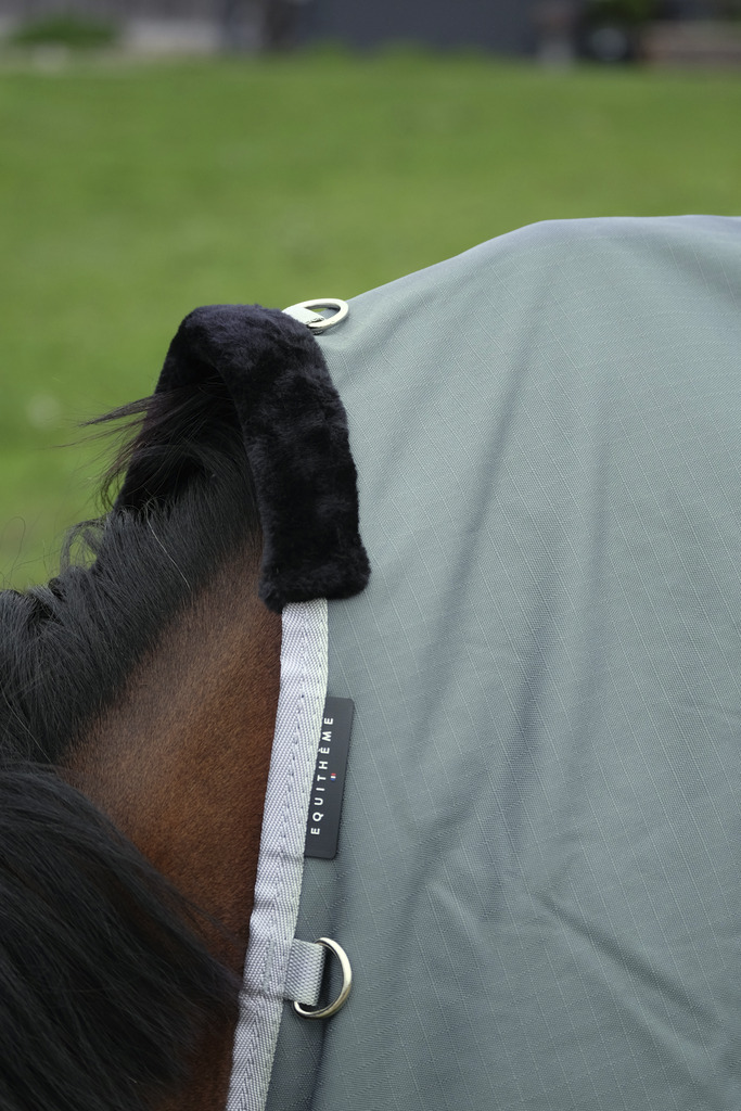 EQUITHEME 'TYREX 600D' Recycled Turnout Rug Green 0 g - 2
