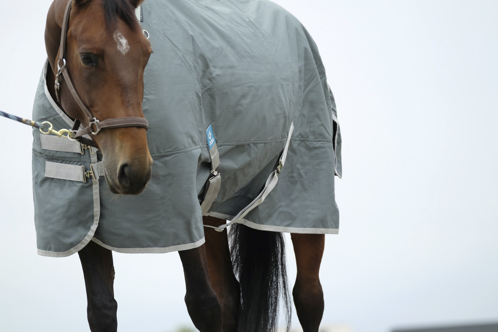 EQUITHEME 'TYREX 600D' Recycled Turnout Rug Green 0 g - 6