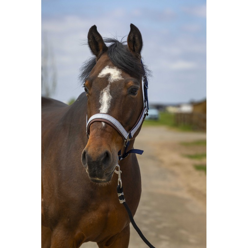 EQUITHEME 'Nylon Check' Grimma Navy/Brun (Cob)
