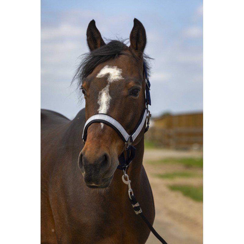 EQUITHEME 'Nylon Check' Grimma Navy (Cob)