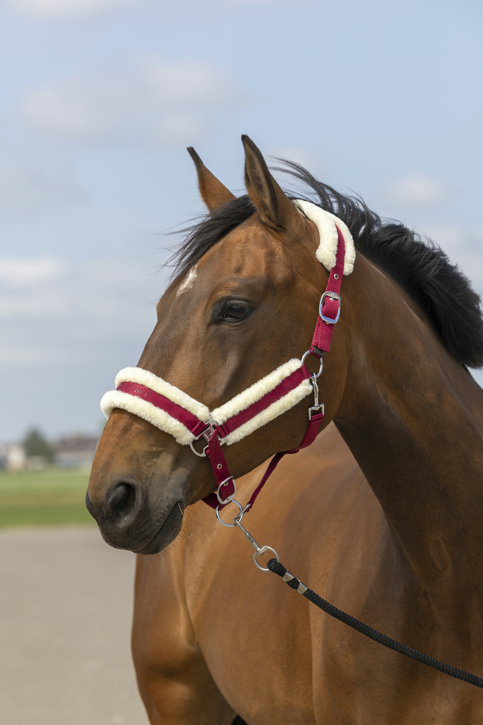 EQUITHEME 'Nylon Mouton' Grimma Burgundy/Vit (Shetland)