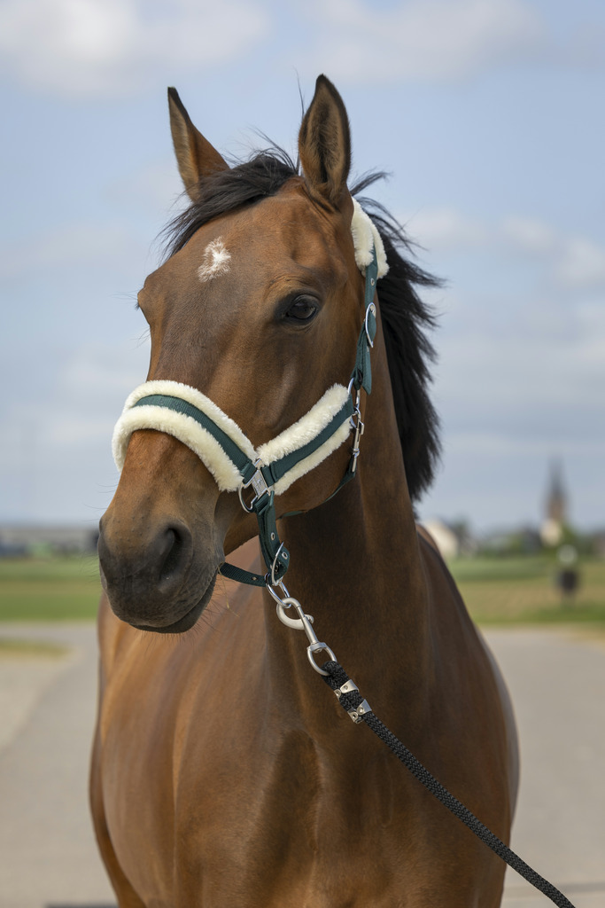 EQUITHEME 'Nylon Mouton' Grimma Grön/Vit (Cob)