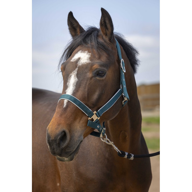 EQUITHEME 'Nylon Light' Grimma Mörkgrön (Cob)