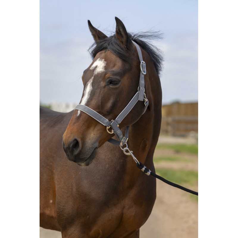 EQUITHEME 'Nylon Light' Grimma Grå (Cob)