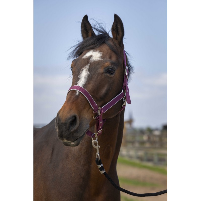 EQUITHEME 'Nylon Light' Grimma Burgundy (Cob)