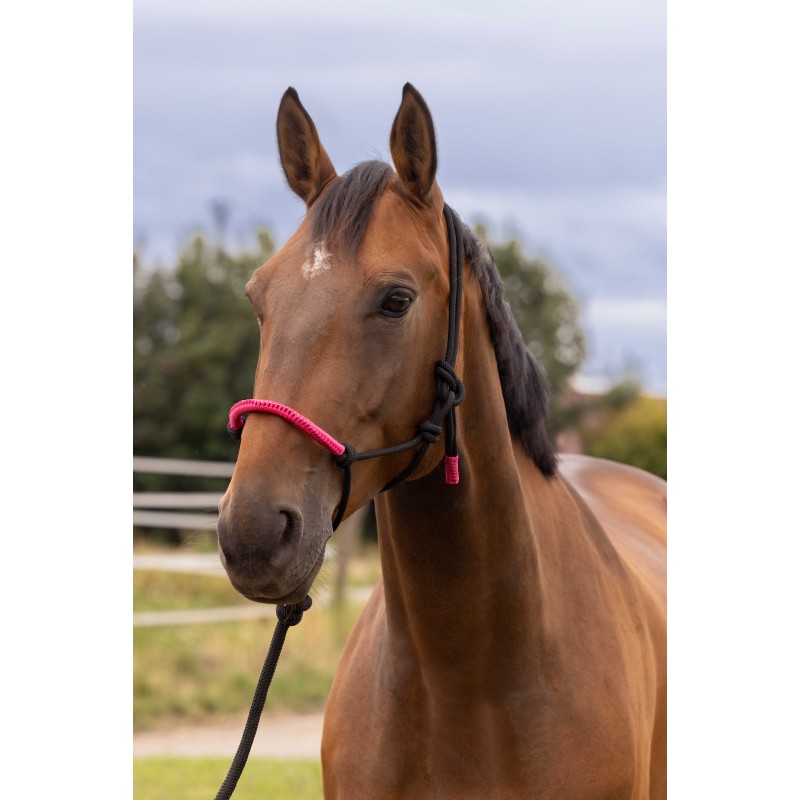 NORTON Fun Repgrimma + Tygel Svart/Fuchsia (Ponny)