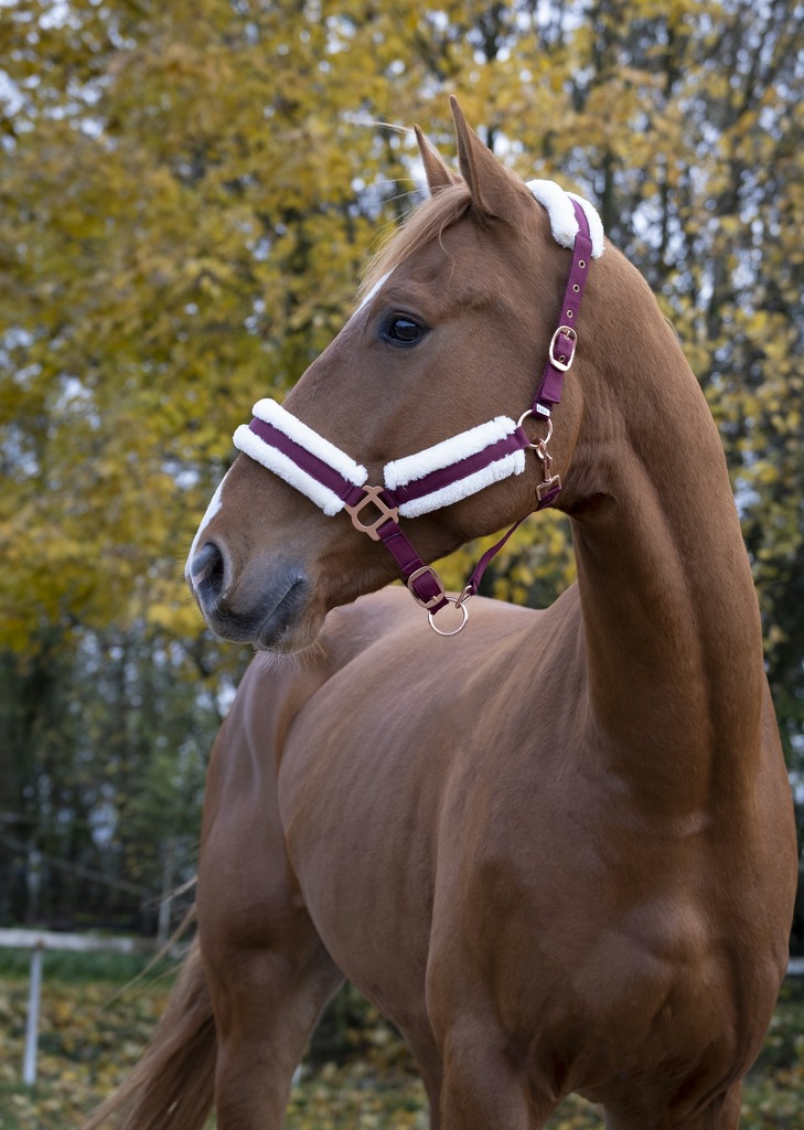 NORTON 'Comfort' Grimma Burgundy, Rosé