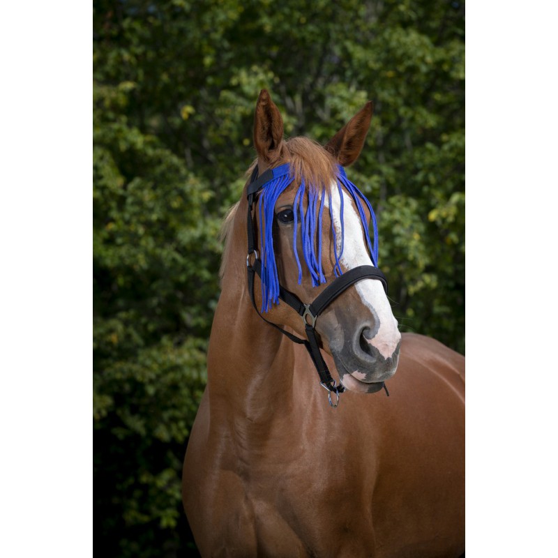 NORTON Flugpannband Navy (Ponny)