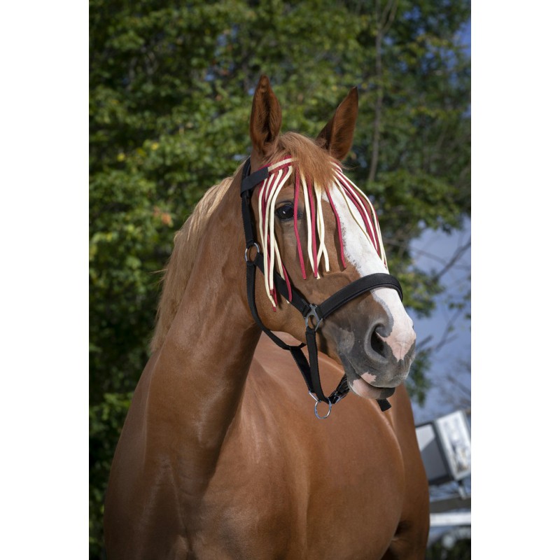 NORTON Flugpannband Röd/Off White (Ponny)