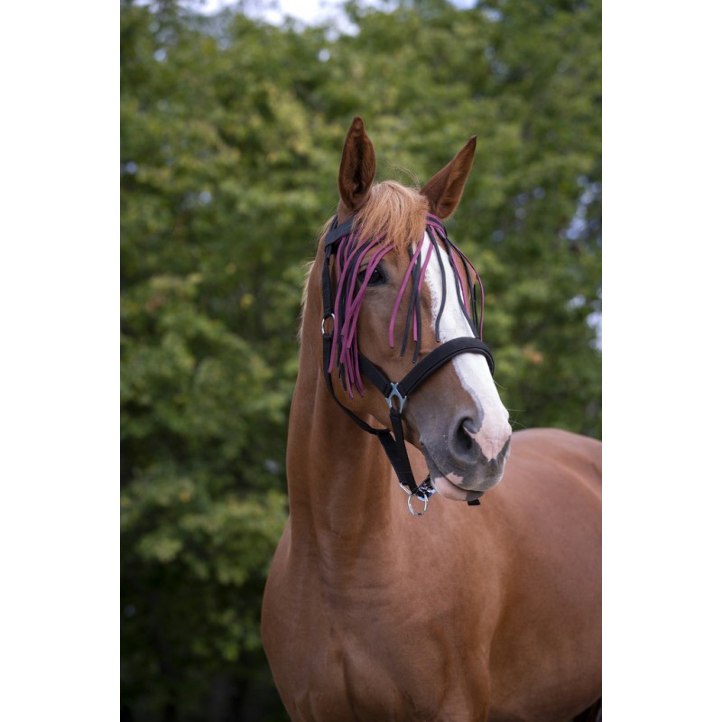 NORTON Flugpannband Burgundy/Svart (Ponny)