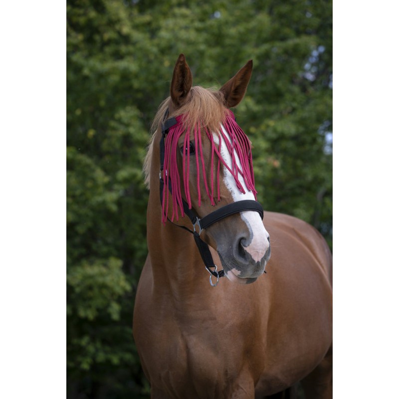 NORTON Flugpannband Burgundy (Ponny)