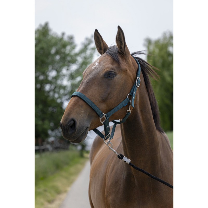 NORTON 'Satine' Grimma Mörkgrön (Cob)