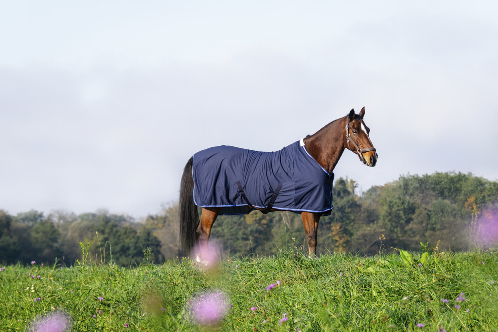RIDING WORLD Fine Mesh Hästtäcke Navy - 2