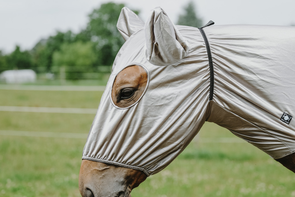 RIDING WORLD Anti-eczema Hood Grey - 2