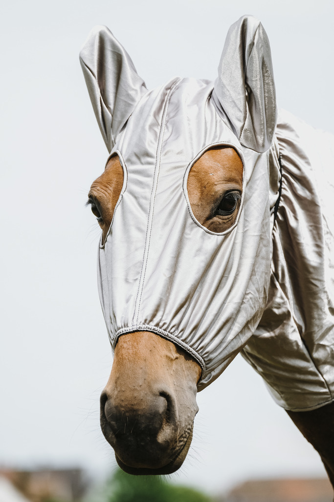RIDING WORLD Anti-Eczema Hals Till Hästtäcke Grå (Small pony)