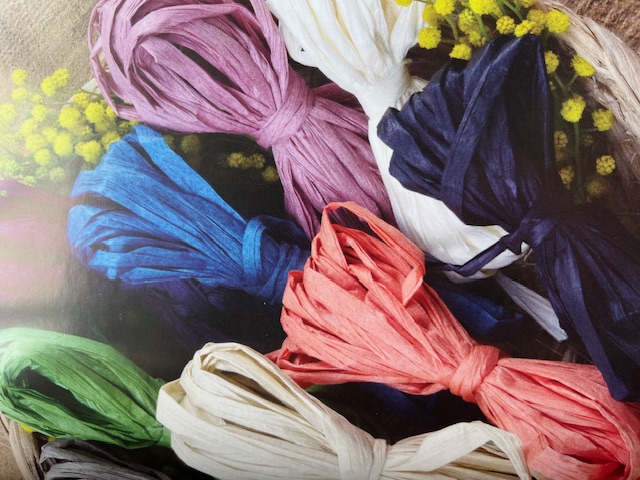 Eco Vita Raffi yarn - 3