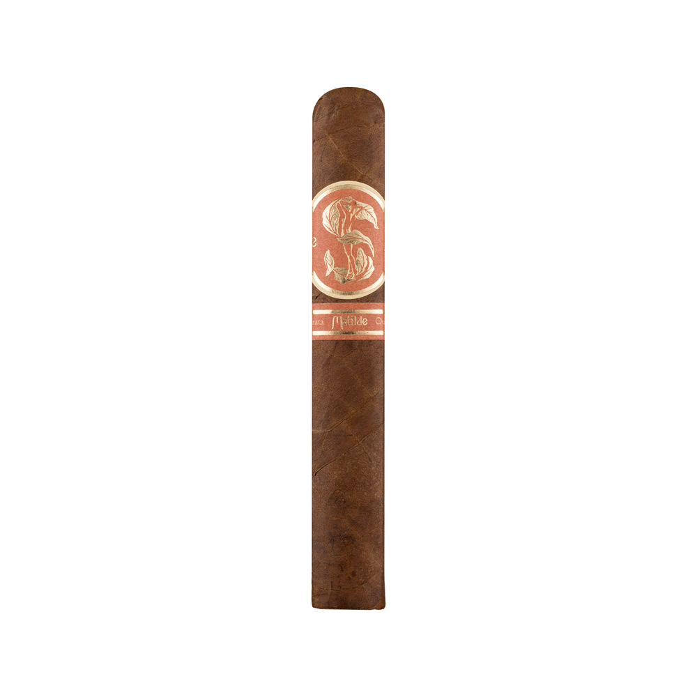 Matilde Quadrata Robusto
