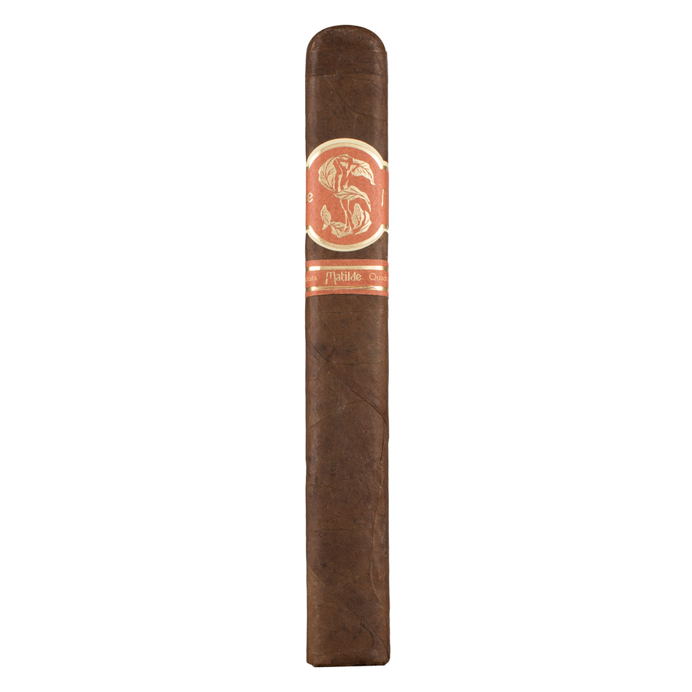 Matilde Quadrata Toro Bravo
