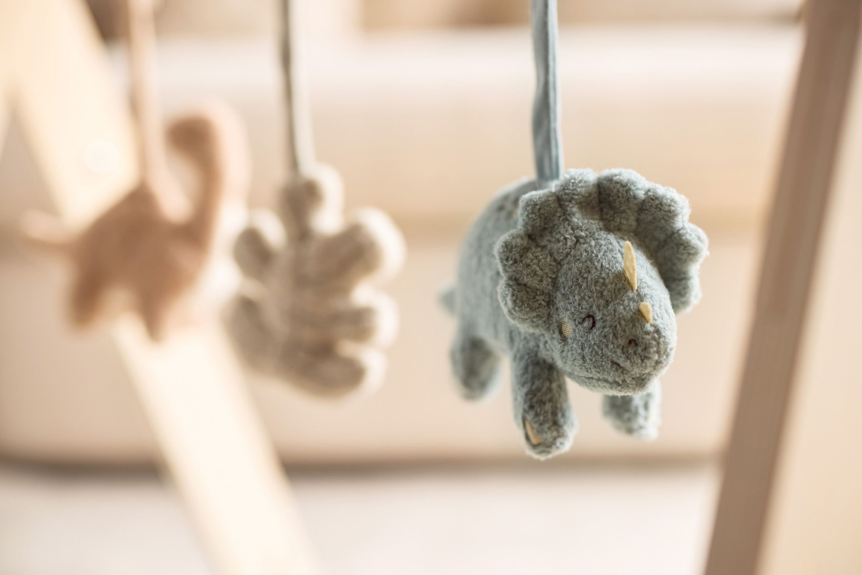 Jollein Babygym hänge Roarsome - 8