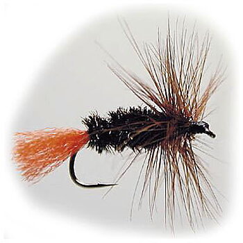 W -Torrfluga Red Tag #14