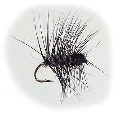 W -Superpuppan Black&Grey #12