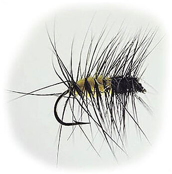 W -Superpuppan Black&Yellow #12
