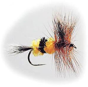 W -Wulff Bee #10
