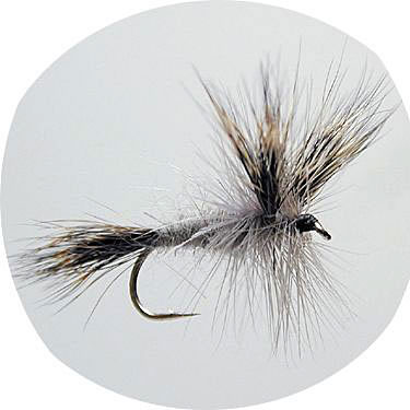 W -Wulff Grey #10