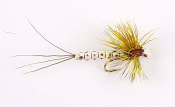 W -Mohican White #10