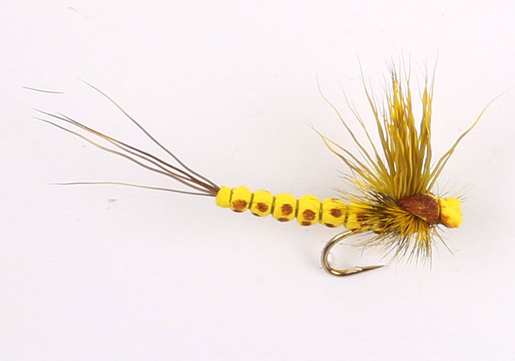 W -Mohican Yellow #10