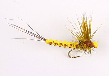W -Mohican Yellow #10
