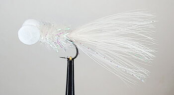 W - Fritz White Booby