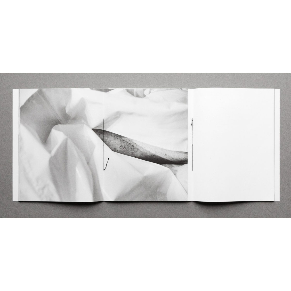 Margot Jourquin: Transi - 5